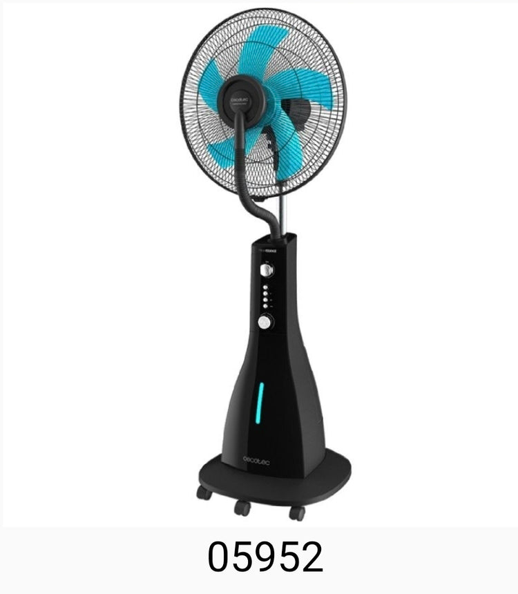 VERANO 2026